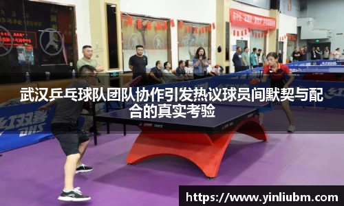 武汉乒乓球队团队协作引发热议球员间默契与配合的真实考验